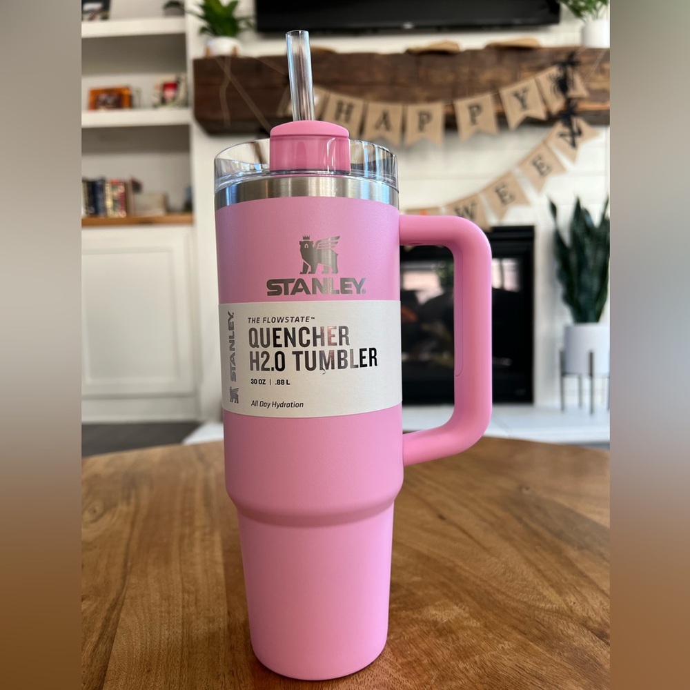 Stanley 30 oz Stainless Steel H2.0 Flowstate Quencher Tumbler Sizzling Pink NWT